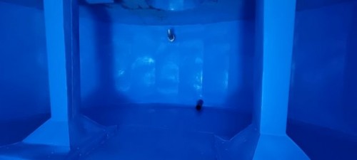 reabilitare rezervoare 